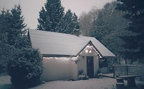 Niezapominajka